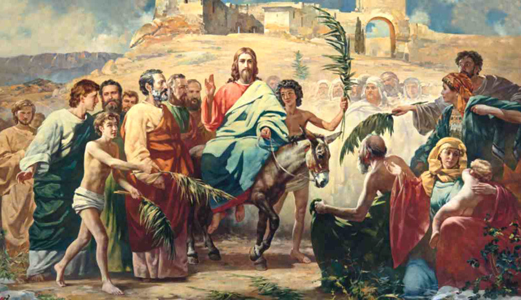 Palm Sunday – Year A – Selby's Scripture Study